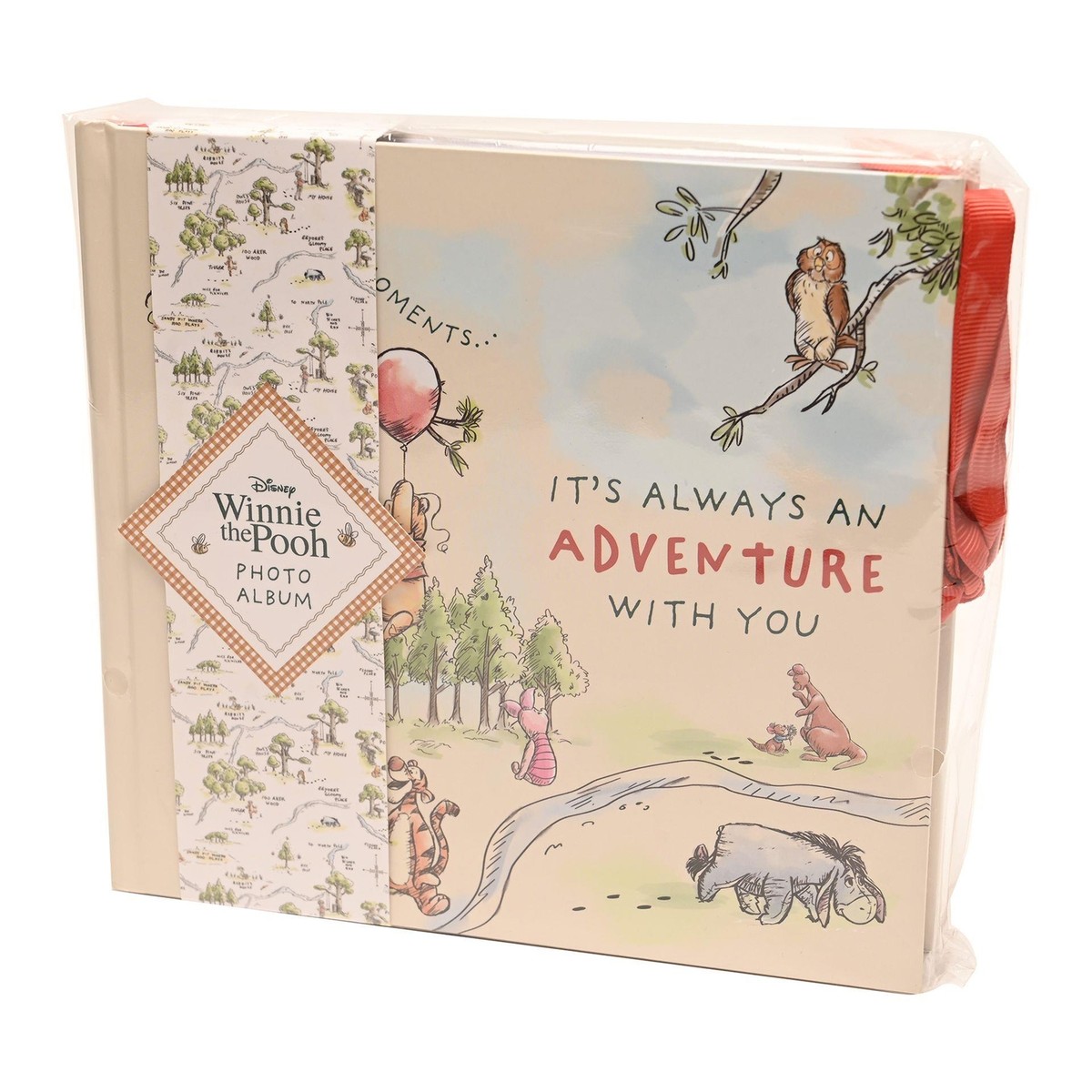 Disney Winnie the Pooh Photo Album 50 x 4' x 6' Photos | eBay