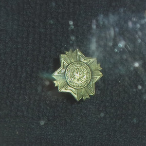 VETERANS OF FOREIGN WARS 1946 LAPEL PIN  US Military Coat Of Arms