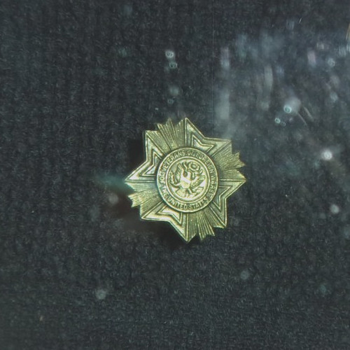 VETERANS OF FOREIGN WARS 1946 LAPEL PIN  US Military Coat Of Arms