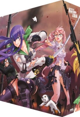 HIGH SCHOOL  OF THE DEAD: PREMIUM COLLECTOR S LIMITED EDITION BLU-RAY + DVD [NEW