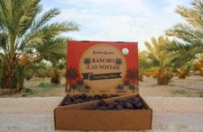 5 LB JUMBO'S PREMIUM ORGANIC MEDJOOL DATES FRESH ARIZONA'S GROWN.