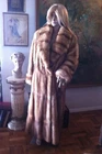 Picture 5 of 12