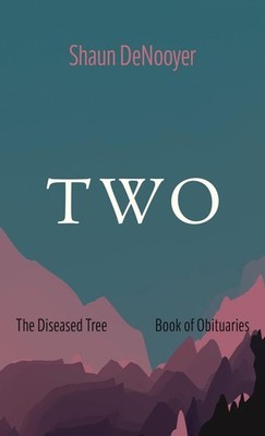 Shaun Denooyer | TWO | Buch | Englisch (2024) | Resource Publications