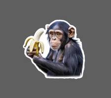 Chimpanzee Sticker Waterproof Decal Monkey Animal Banana Zoo Wild Gift NEW