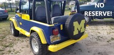 1995 Jeep Wrangler for Sale