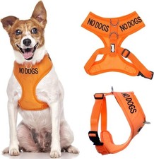 NO DOGS (Not good with other dogs) Orange Colour Coded Non-Pull Front and Back D