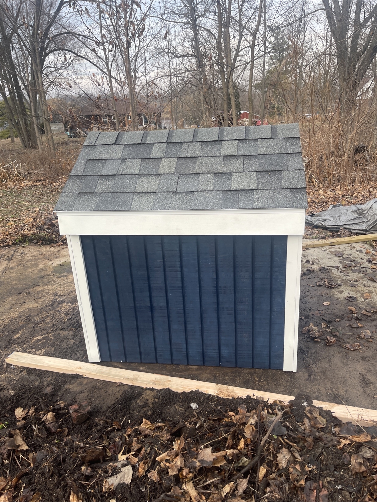 extra large dog house eBay