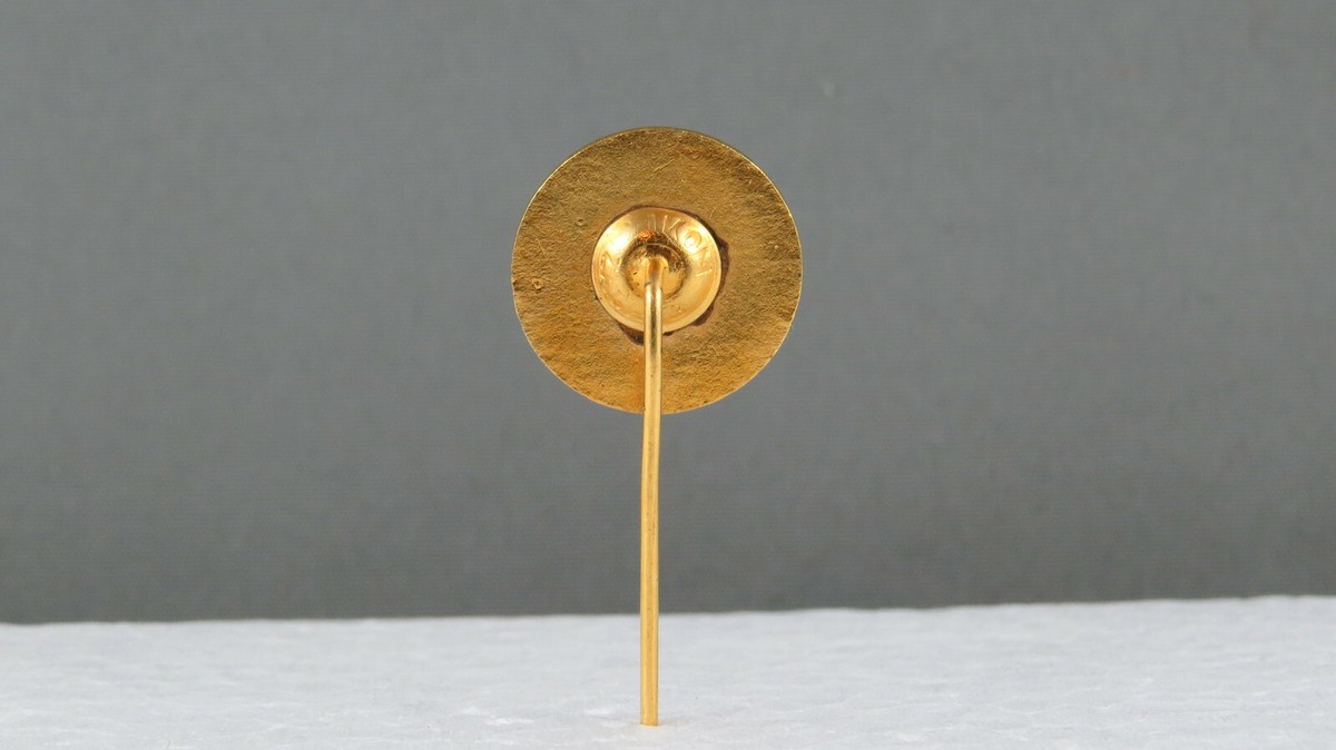 Vintage HNK Hajduk Split Football/Soccer Club Lapel Pin - Golden Pin | . de
