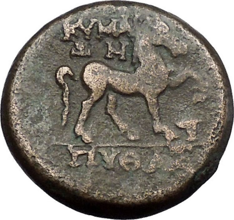Kyme in Aeolis 300BC Rare Authentic Ancient Greek Coin Amazon