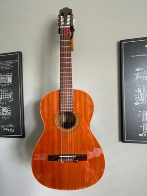 Esteve 1GR01 Classical Guitar with nylon string pickup, gig bag