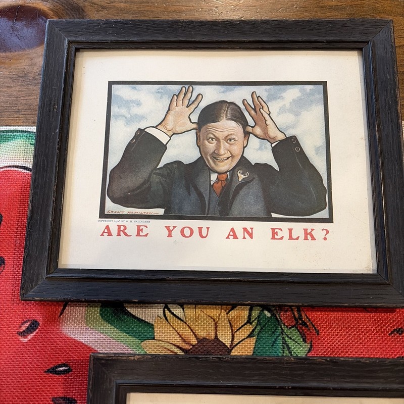 Framed Grant Hamilton Are You An Elk?  He’s A Mason Pictures