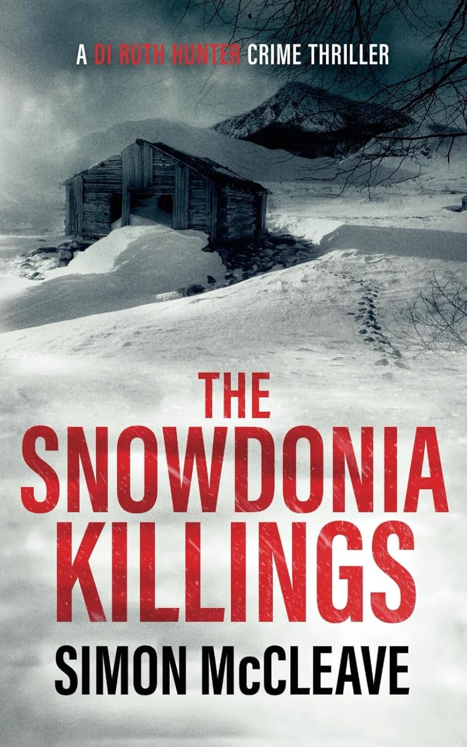 The Snowdonia Killings: DI Ruth Hunter Book 1 - Simon McLeave (Paperback, 2020)