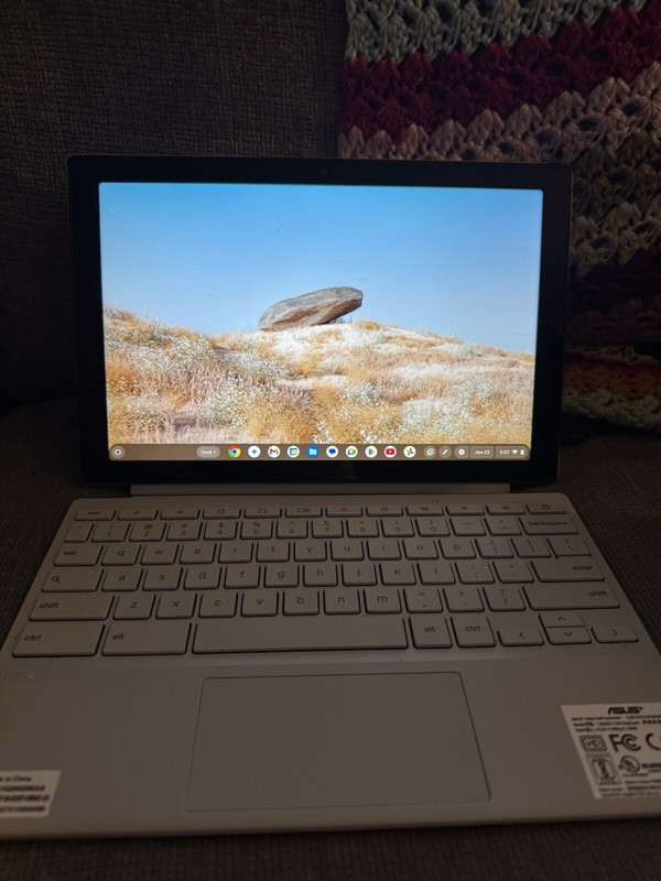 Laptop/tablet With TikTok