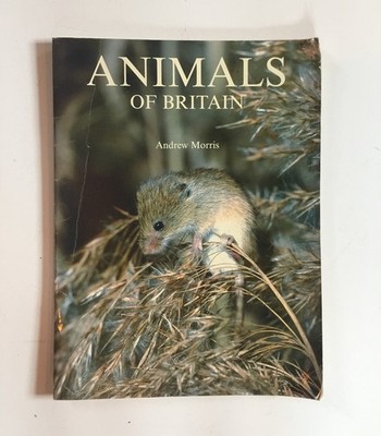 Animals of Britain Andrew Morris/Derek Hall Island Books Large A3 size RARE