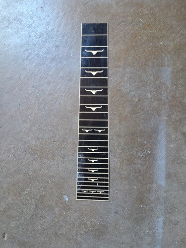 Fesseden pedal steel guitar Fretboard Strip Overlay Lexan 18" x 3"