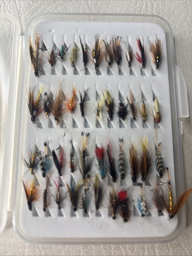 40 x Trout Wets, Nymphs, Etc, Various Sizes - New In Box / Great Starter Box - Picture 2 of 6