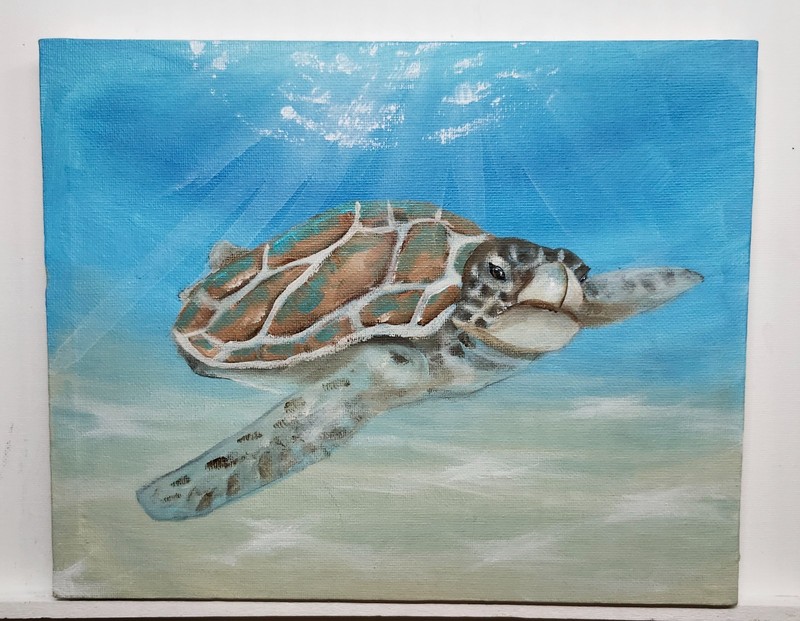 Salt & Light Original Painting “Gentle Sea Turtle” by Maryan 8inx10in OOAK