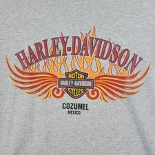 Harley Davidson Cozumel Mexico TShirt Unisex Gray Large Gildan Flame Wings