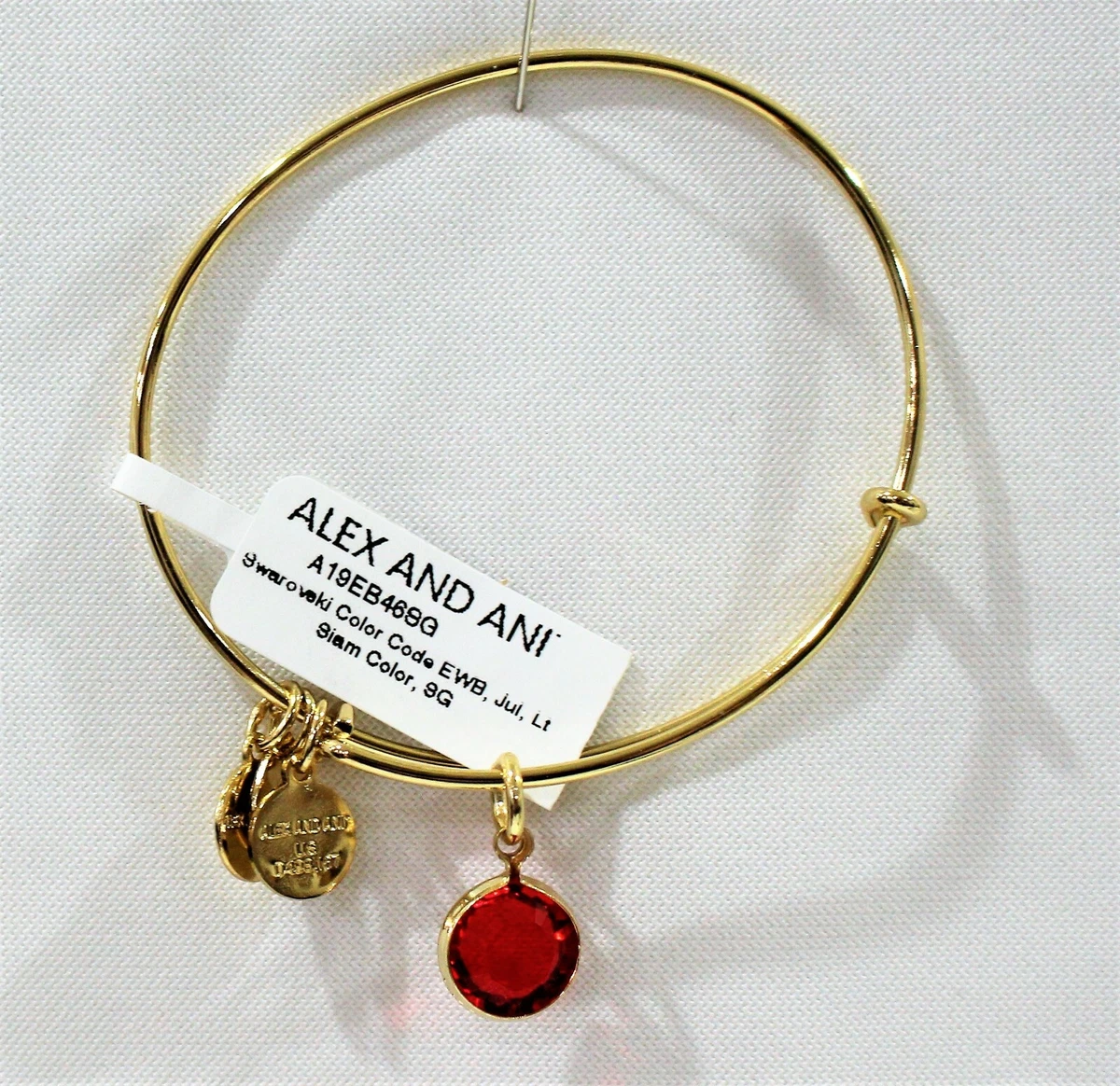 Alex and ani january birthstone bangle sale