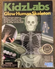 KIDZ LABS GLOW HUMAN SKELETON KIDS HUMAN BODY SCIENCE & ACTIVITY KIT 4M TOYS