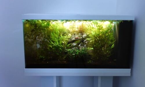 **BRAND NEW** White Fish Tank Aquarium with Stand, Heater, Filter, Led & More - Picture 2 of 10