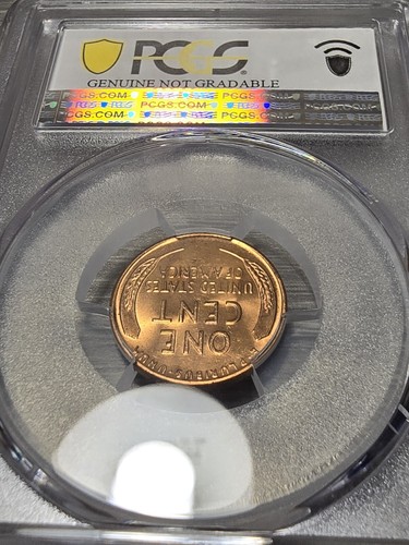 1942-S 1 Cent Wheat Penny PCGS GENUINE CLEANED UNC DETAILS BN. LOW POP AS A... - Picture 3 of 3