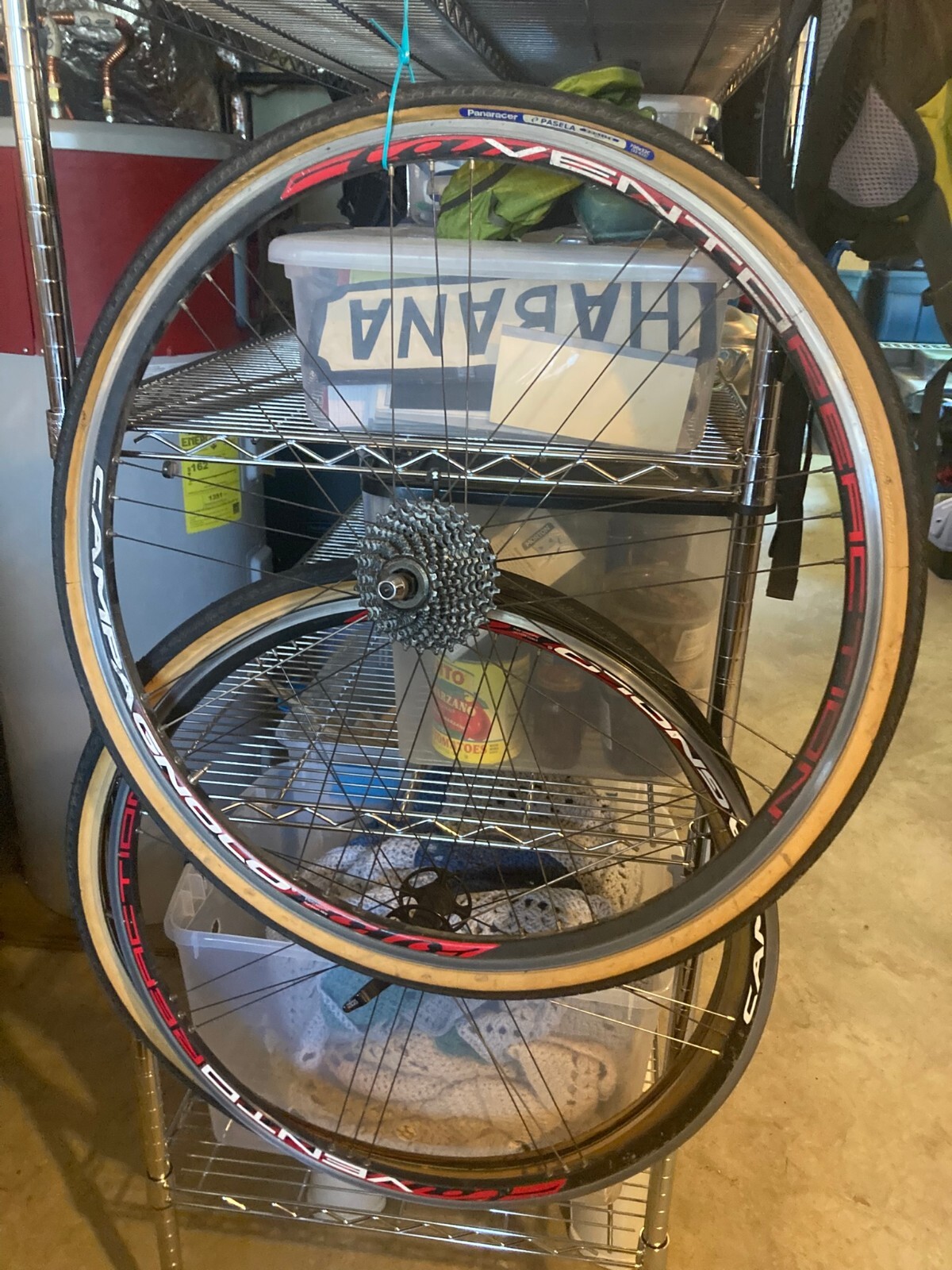 Купить Campagnolo Vento Reaction Wheelset Quick Release Skewers