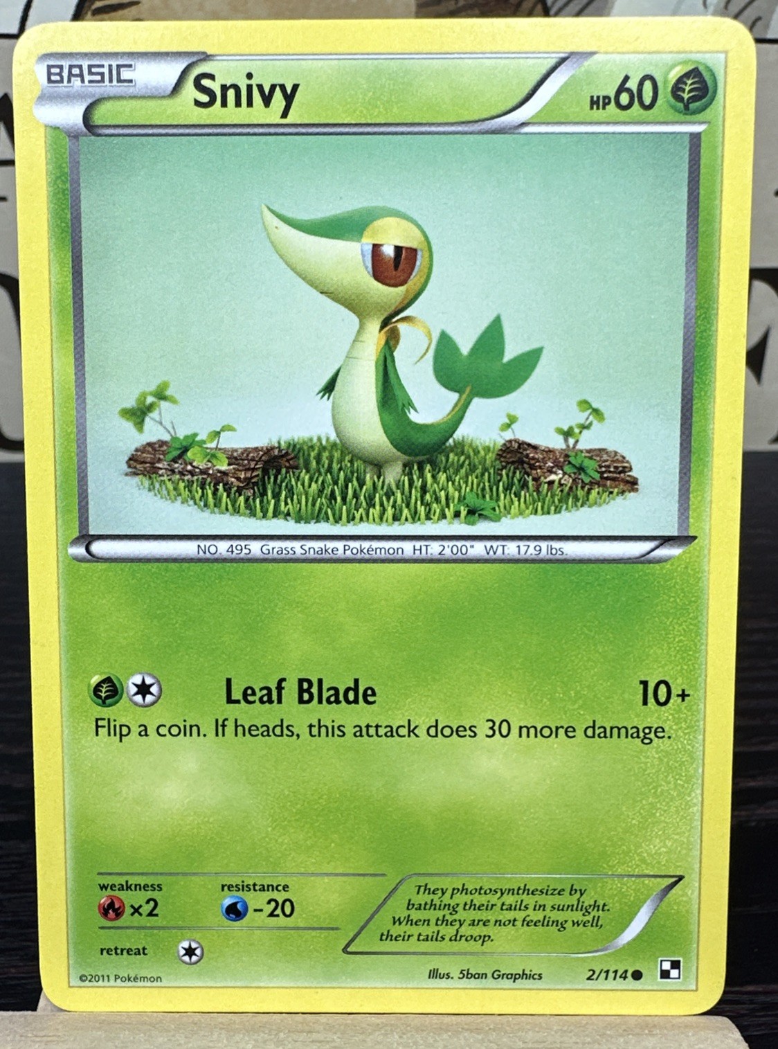 2011 pokemon card TCG Snivy 2/114 Black & White Regular LP