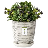 Blumentopf BlumenüBertopf Weiß Gewischt Blumenschale Mit Untersetzer Rund H=21,5