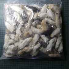 Bulk 50 New Lucky Rabbits Foot Key Chain, Zipper Pull, Charm Natural Colors