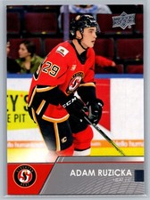 #19 Adam Ruzicka 2021-22 Upper Deck AHL Stockton Heat