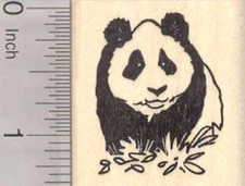 Giant Panda Rubber Stamp D20513 WM