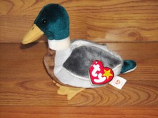 TY Beanie Baby Jake The Mallard MANY errors Very Rare 1997/1998 tags perfect