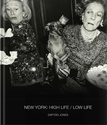 New York: High Life / Low Life Dafydd Jones Buch 120 S. Englisch 2024