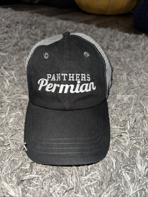 #ad Ohiopyle 81 Odessa Permian PANTHERS MOJO Football Mesh Cap Black Gray Landman $47.49