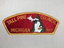 Tall Pine Council 1910 plastic rough back BSA CSP Patch