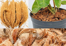 Coconut Husk Fiber 100 Ceylon Pure Organic Growing Media for Orchids, Anthurium