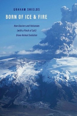 Born of Ice and Fire: How Glaciers and Volcanoes (with a Pinch of Salt) Drove An