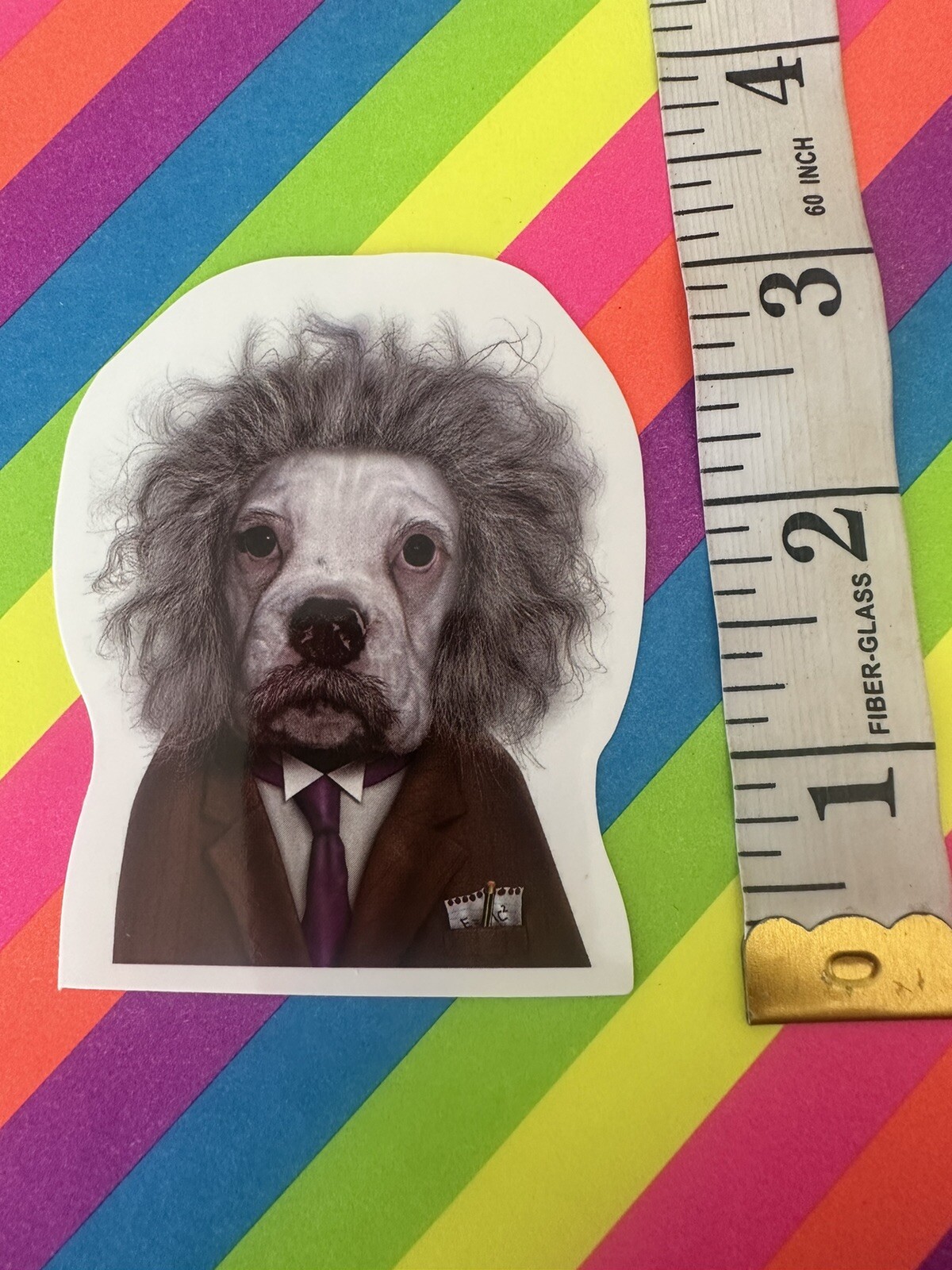 Albert Einstein Puppy Dog Parody Sticker Decal Skate Surf Laptop Journal Cell