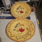 2 Pfaltzgraff Napoli Hand-painted 9" Salad lunch luncheon plates flower dessert — photo 1