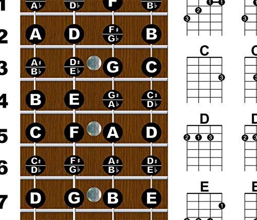 Laminated Ukulele Fretboard Notes & Easy Beginner Chord Chart 11"x17" - Picture 6 of 8