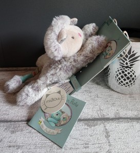 école Du Chat Libre De Bordeaux Publicaciones Facebook