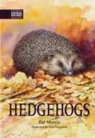 Pat Morris | Morris, P: Hedgehogs | Buch | Englisch (2015) | Gebunden