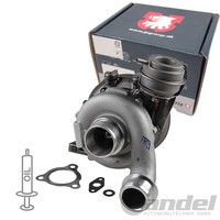 JP Group Turbolader Inkl. Dichtungssatz Passend FüR VW LT | 1117403100