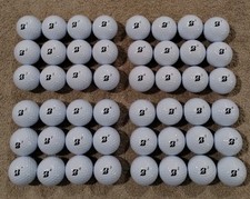 Bridgestone E6 Soft Used Golf Balls - 4 Dozen (48) Mint Condition