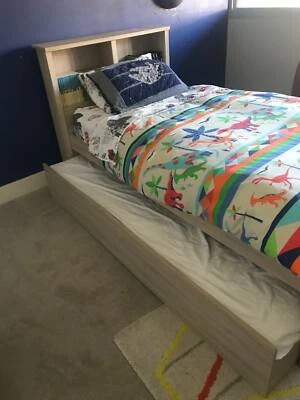 dinosaur single bed frame