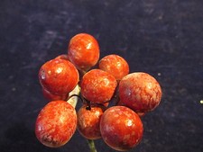 Vintage Millinery Flower Fruit 5/8" Red Berry Lot 12p for Hat Wedding  Hair NG8