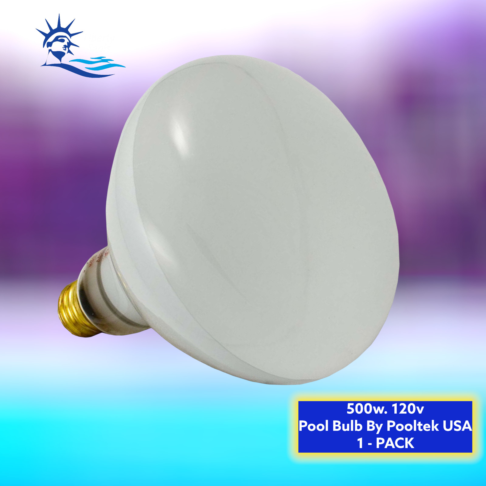 Feit 500-Watt Incandescent R40 Pool & Spa Light Bulb Replaces Pentair 79102100