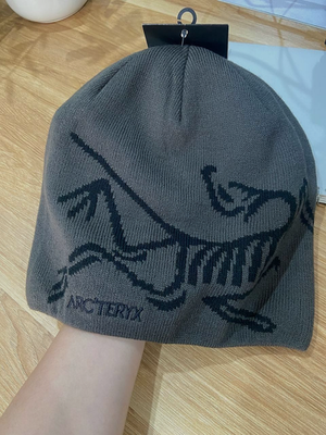 ARC'TERYX グレー ビーニー Arc'teryx Bird Head Toque Beanie Dark Grey - Orca Merino Wool