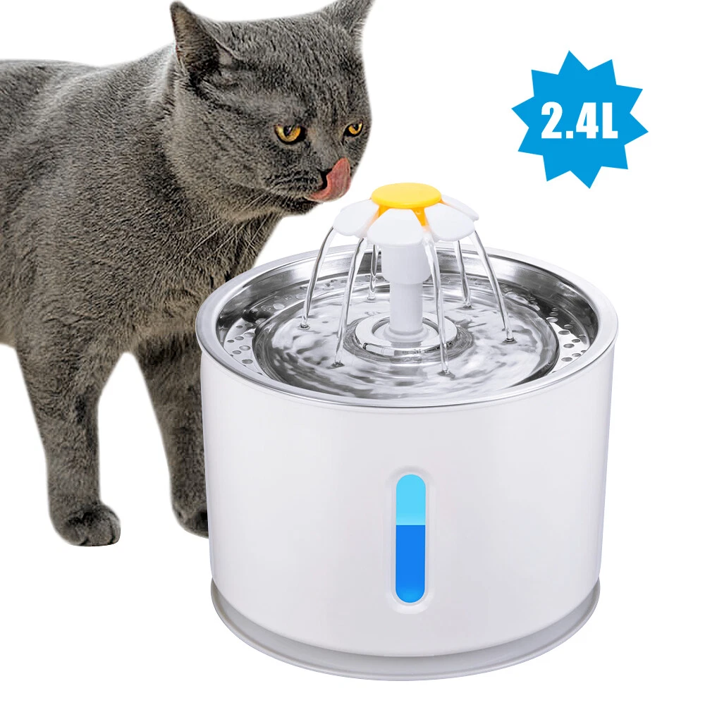 Automatico Bere Acqua Fontana Fontanella Dispenser Piatto per Gatti Con  Filtri